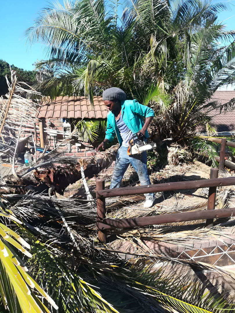 Timbertactix (1) Tree Felling Services Port Elizabeth